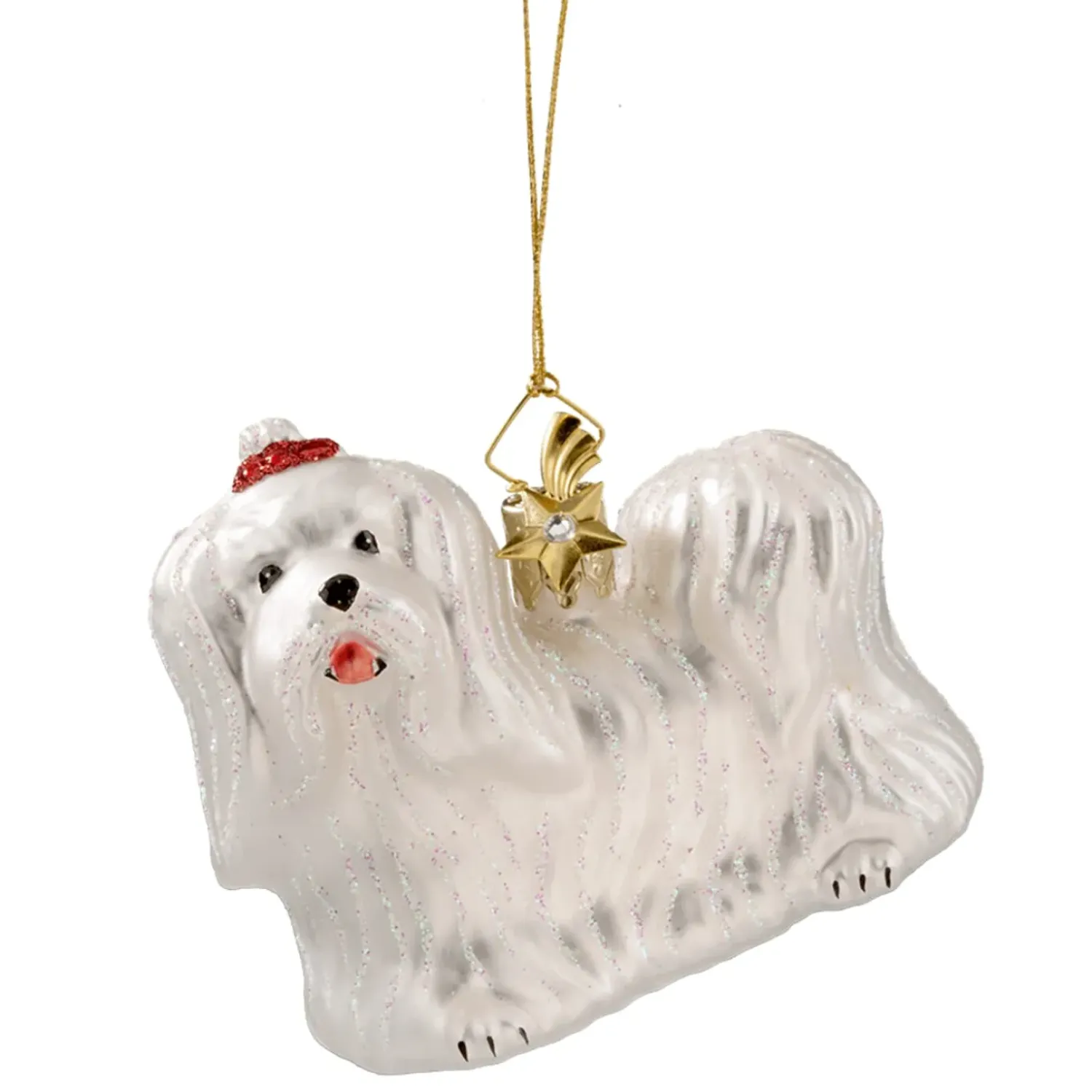 Poesie in Glas Malteser